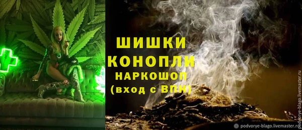 ешки Алзамай