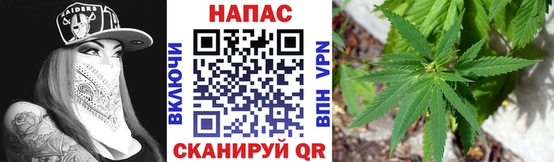 Бошки марихуана THC 21%  даркнет сайт  Ленинск-Кузнецкий 